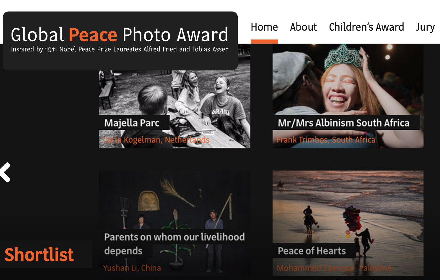 Der Global Peace Photo Award findet sich in der Liste hochdotierter Fotowettbewerbe. Hier zu sehen ist ein Screenshot der Website mit einigen Bildern der aktuellen Shortlist. Die Auszeichnung der Gewinner findet am 4. Oktober 2023 im österreichischen Parlament statt.