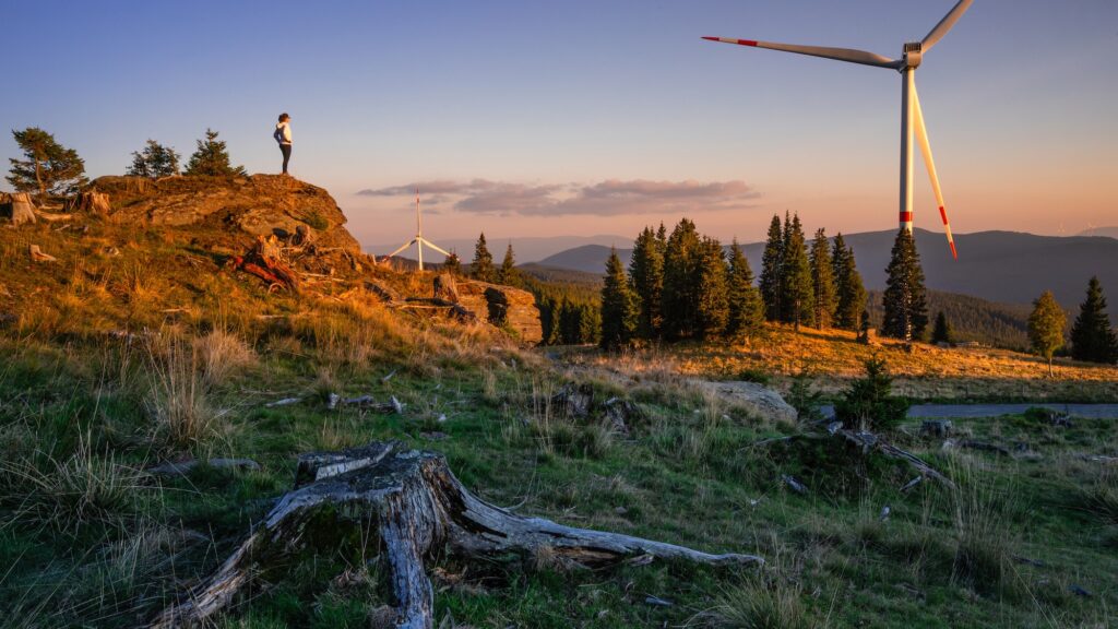 Das Gewinnerbild von 2024 stammt von Lukas Hirsch. (c) Lukas Hirsch