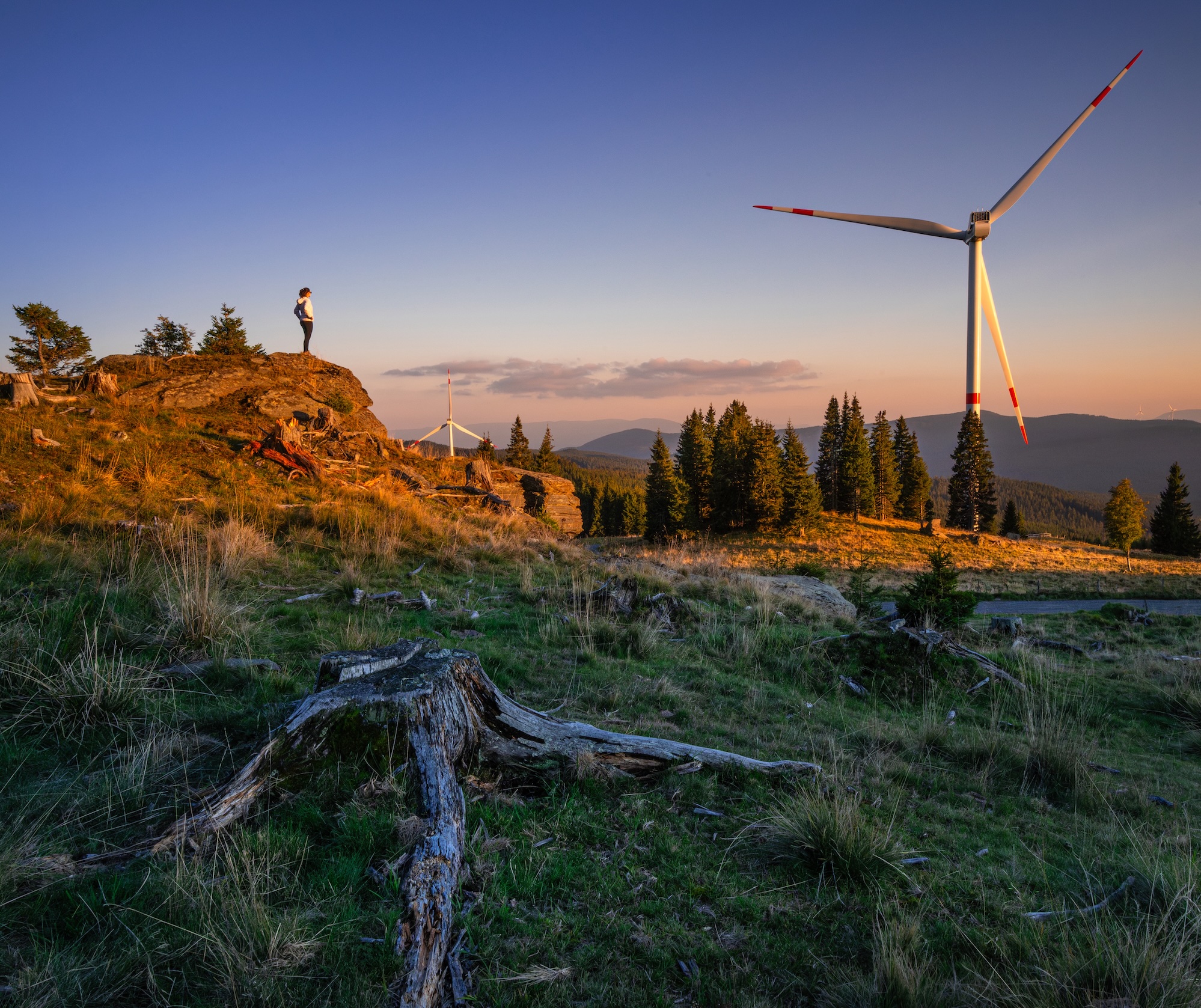 Das Gewinnerbild von 2024 stammt von Lukas Hirsch. (c) Lukas Hirsch